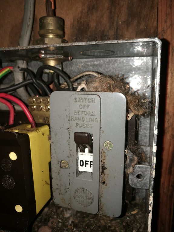 An old metal switch box — age and access are what move an EICR price